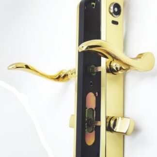 SALTO E2021085LPA Compact Ibutton RW Handle & Turns Brass