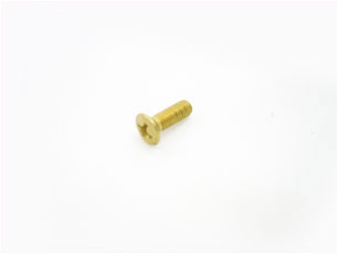 SALTO SP00212-50 Comfort Inner Cover Plate Screws Brass