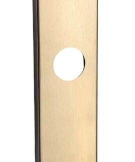 SALTO SP00790-W40E01-IM XS4 Wide Inner Coverplate SSS Refurbished